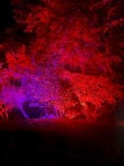 �摜(180x240)�E�g��摜(480x640)