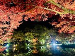 �摜(240x180)�E�g��摜(640x480)