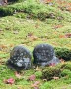 �摜(144x180)�E�g��摜(516x640)