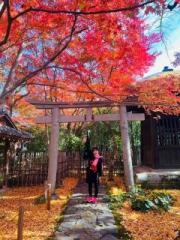 �摜(180x240)�E�g��摜(480x640)