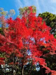 �摜(180x240)�E�g��摜(480x640)