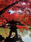 �摜(135x180)�E�g��摜(480x640)