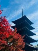 �摜(135x180)�E�g��摜(480x640)