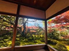 �摜(240x180)�E�g��摜(640x480)