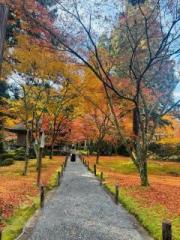 �摜(180x240)�E�g��摜(480x640)