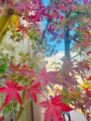 �摜(180x240)�E�g��摜(480x640)