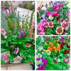 �摜(240x240)�E�g��摜(640x640)