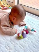 画像(135x180)・拡大画像(480x640)