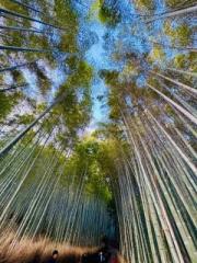 画像(180x240)・拡大画像(480x640)