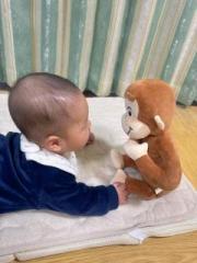 �摜(180x240)�E�g��摜(480x640)