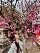 画像(135x180)・拡大画像(480x640)