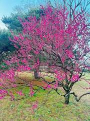 �摜(180x240)�E�g��摜(480x640)