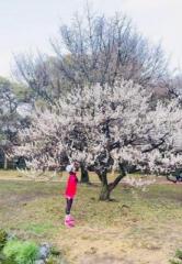 �摜(166x240)�E�g��摜(445x640)