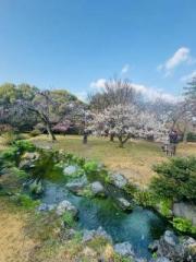 �摜(180x240)�E�g��摜(480x640)