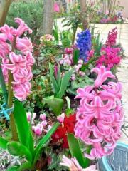 �摜(180x240)�E�g��摜(480x640)