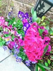 �摜(180x240)�E�g��摜(480x640)