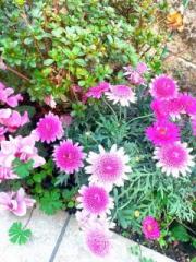 �摜(180x240)�E�g��摜(480x640)