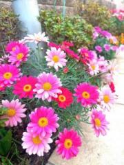 �摜(180x240)�E�g��摜(480x640)