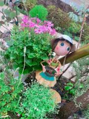 �摜(180x240)�E�g��摜(480x640)