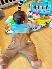 画像(180x240)・拡大画像(480x640)