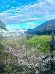 画像(180x240)・拡大画像(480x640)