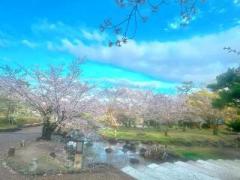 画像(240x180)・拡大画像(640x480)