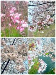 画像(180x240)・拡大画像(480x640)