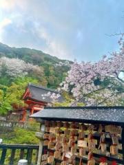 画像(180x240)・拡大画像(480x640)